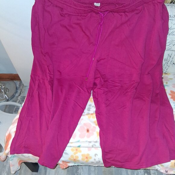 Terra & Sky Other - [once caprisfinal price pls no more discounts struggling  diaabled mama